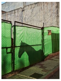 Silhouette of Horse