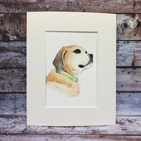 Image 3 of Custom Watercolor Pet Portrait