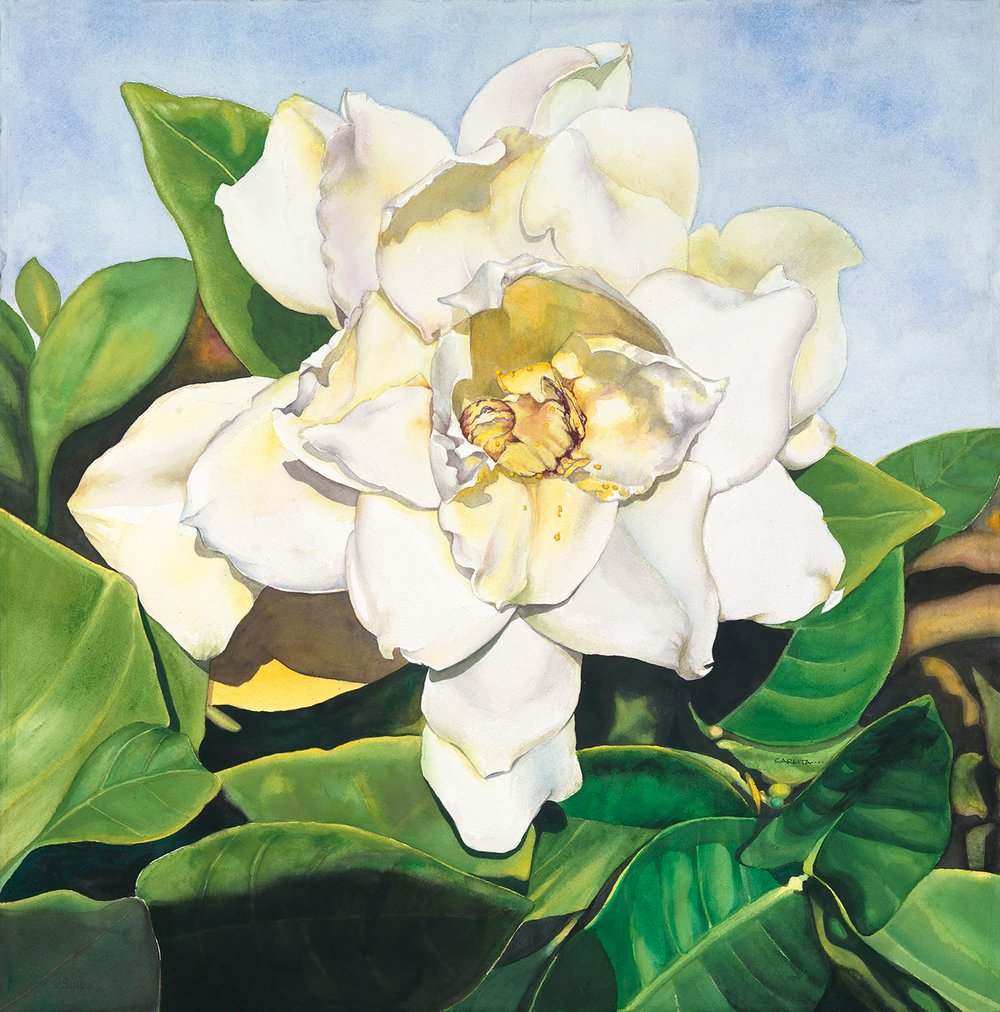 Image of GARDENIA (Unframed)