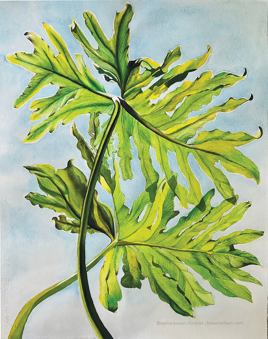 Image of PHILODENDRON (Unframed) Prints coming soon!