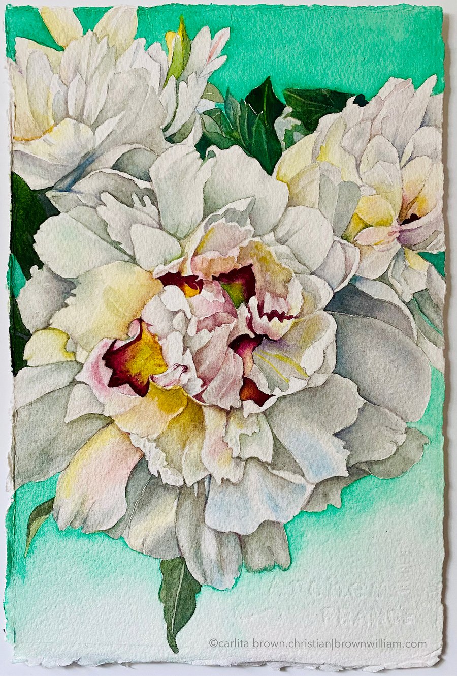 Image of WHITE PEONIES (Unframed)  Prints coming soon!