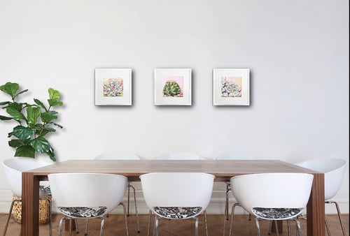 Image of SUCCULENT SET (Unframed)