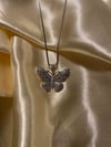 Butterfly bae