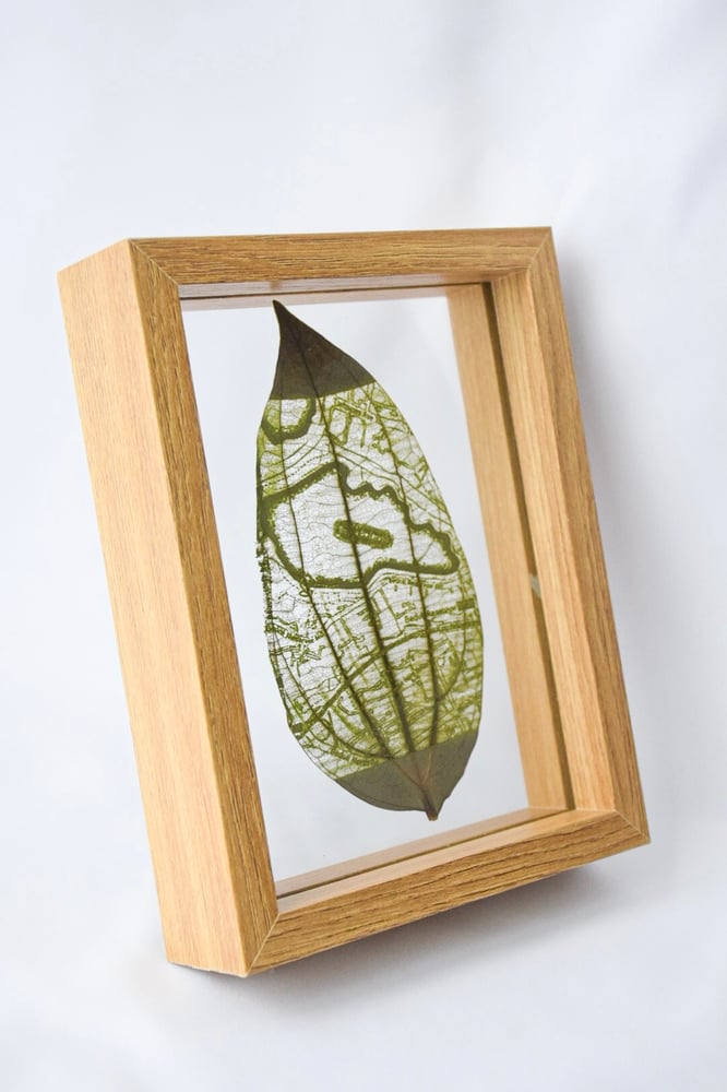 Image of Customised Framed Leaf Cutout