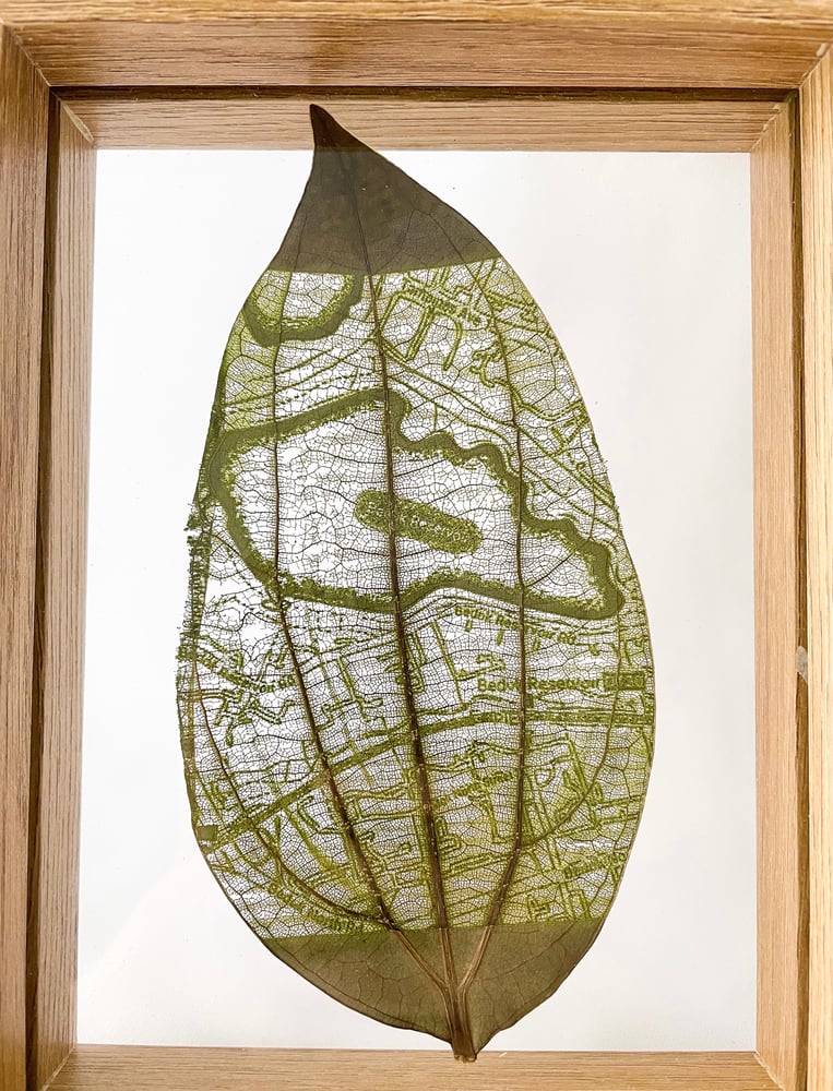 Image of Customised Framed Leaf Cutout