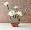 Terracotta Flower Bud Vase