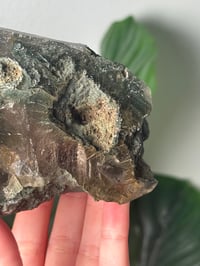 Image 2 of XL DOUBLE SIDED HALF POLISHED HIMALAYAN RUTILE IN QUARTZ CLUSTER F