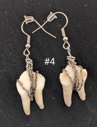 Image 4 of Chunky Deer Molar Earrings