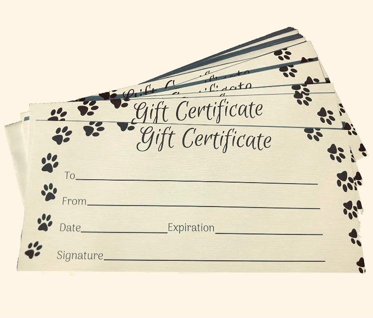 Image of Gift Certificate $20