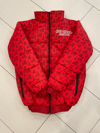 Image 1 of Year of the Chasers Bubble Jacket