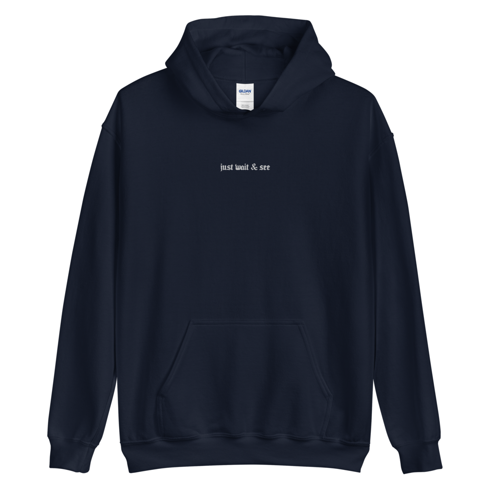 Image of "JUST WAIT & SEE" HOODIE