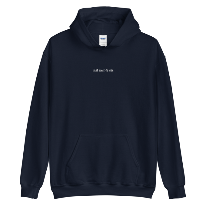 Image of "JUST WAIT & SEE" HOODIE