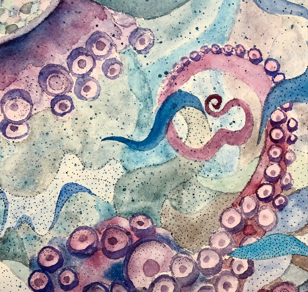 Image of Octopus