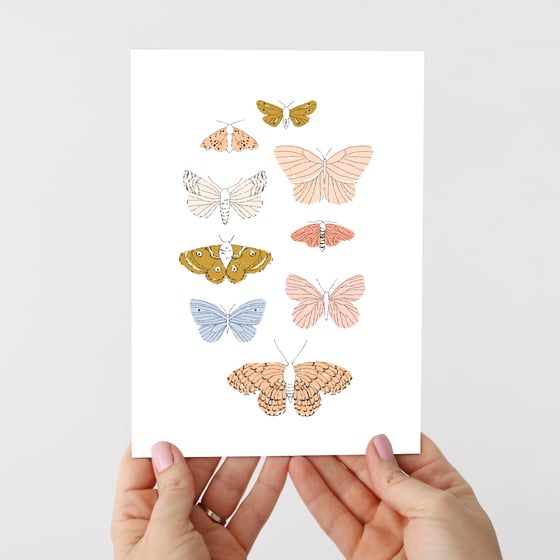 Image of Flutterbies and Moths Print + Colour-In