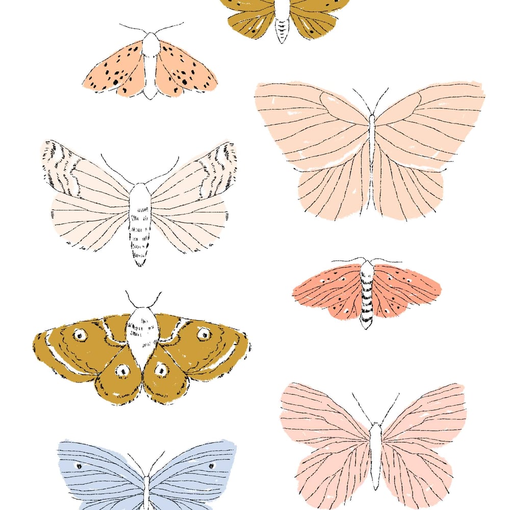 Image of Flutterbies and Moths Print + Colour-In