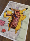 Pikachu Anatomy Print 