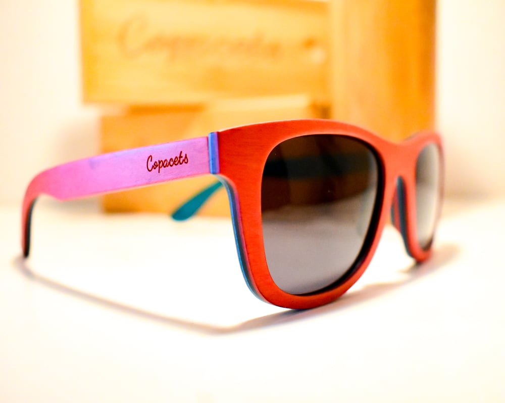 Image of SKATEBOARD SUNGLASSES 