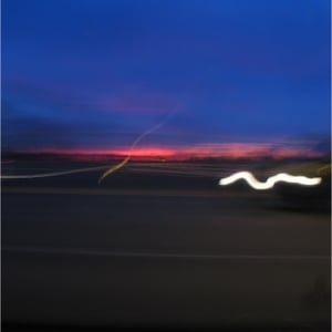 Image of Blackfeet - Choral Reef