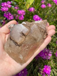 Image 4 of Smokey Skeletal Elestial Quartz