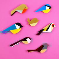 Image 5 of Robin Brooch or Necklace