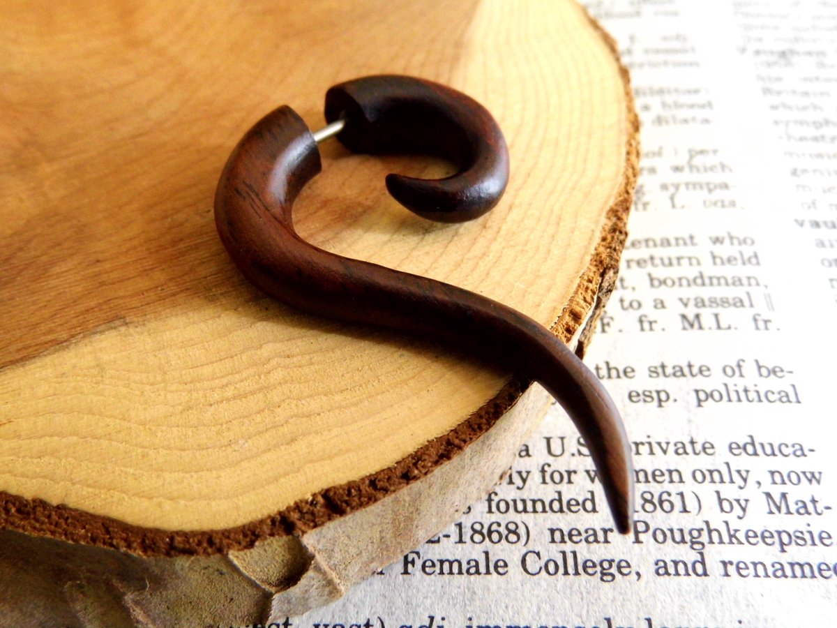 Unisex Faux Stretcher Spiral Earrings