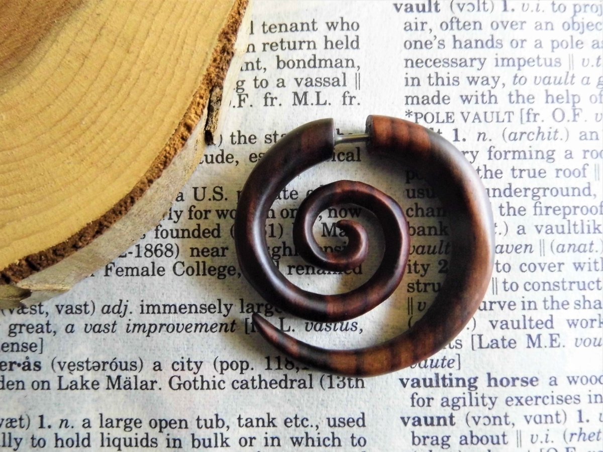 Men or Women Spiral Earrings