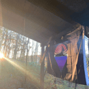 Image 3 of Billy Strings fan art - Goats Under the Stars Flag