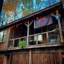 Image 2 of Billy Strings fan art - Goats Under the Stars Flag