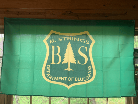 Image of Billy Strings fan art - Department of Bluegrass Flag (GREEN)