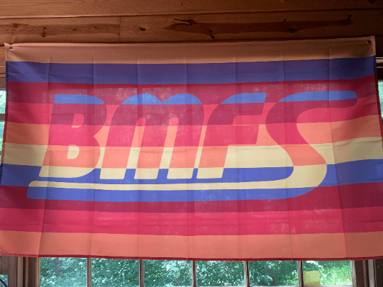 Image of Billy Strings fan art - BMFS Flag