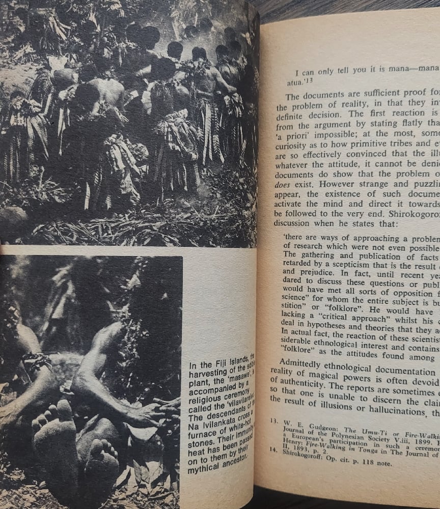 The World of Magic, by Ernesto de Martino