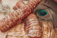 Image 3 of Moo Tubes