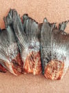 Salmon Tails