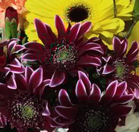 Image 1 of Traditional mix 
