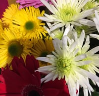 Image 2 of Traditional mix 