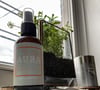 Aura (Rejuvenate) Room Refresher