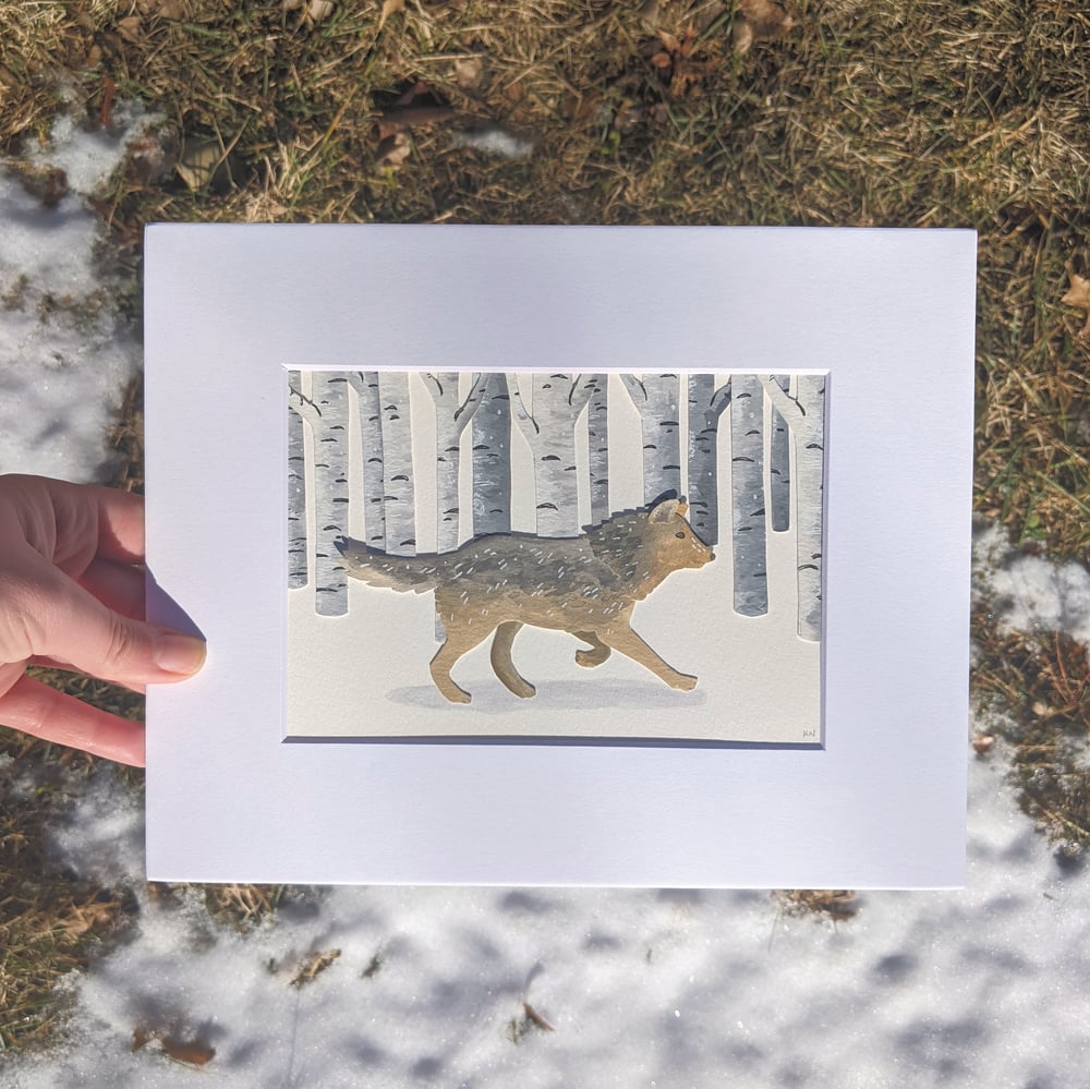 Image of Winter wolf