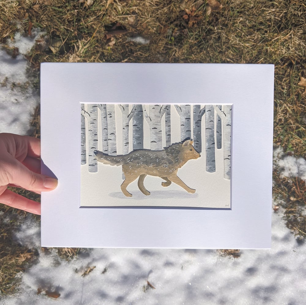 Image of Winter wolf