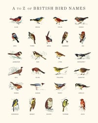 Image 1 of A to Z of British Bird Names Poster