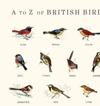 Image 3 of A to Z of British Bird Names Poster