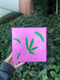 Image of he loves me, he loves me not