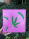 Image of he loves me, he loves me not