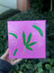 Image of he loves me, he loves me not