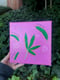 Image of he loves me, he loves me not