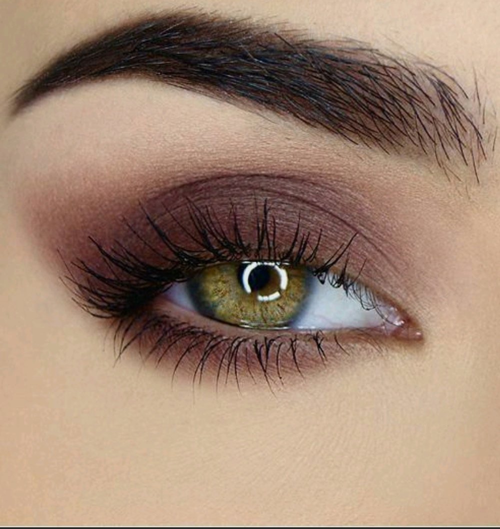 Image of  6 - 8  Week Brow Touch Up 