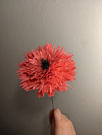 Pom Pom Poppies