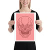 Pink skull print 