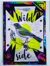 wild bird #3