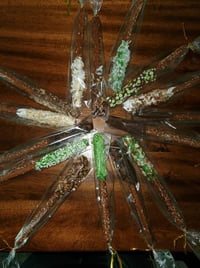 Image 1 of Pretzels (12 per order)