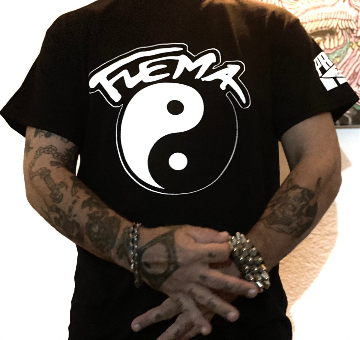 Image of Flema Yin Yang (Original Logo) 